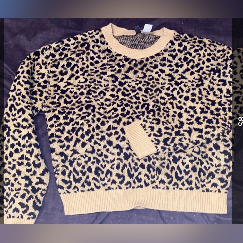 cheetah print sweater
